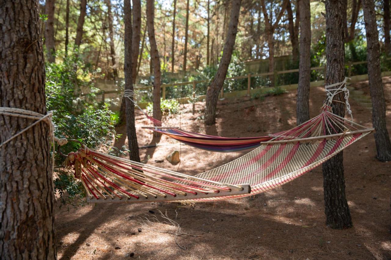 Residenza Del Timo Βίλα Gallipoli Εξωτερικό φωτογραφία